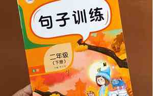 二年级小飞机排列句子有哪些