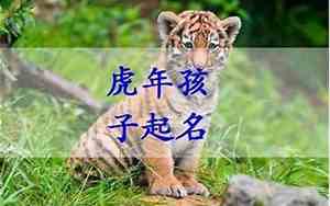 冬天虎宝宝