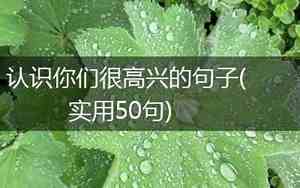 感受高兴的句子有哪些