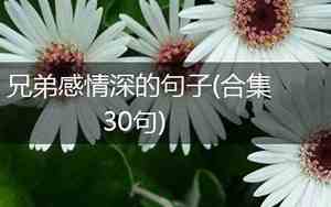 宿舍兄弟感情的句子有哪些