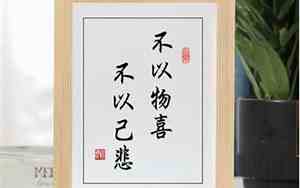 不以物喜不以己悲相反的句子有哪些