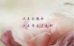 形容闺蜜的句子唯美短句伤感