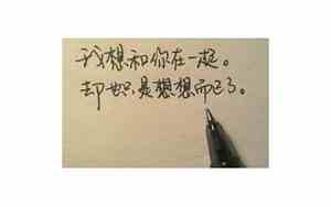 对最珍惜感情的句子说说