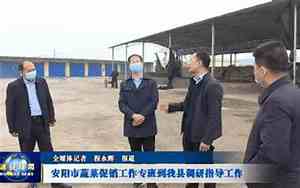 安阳到滑县的汽车时刻表班次查询