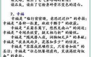 排比句总分总的形式