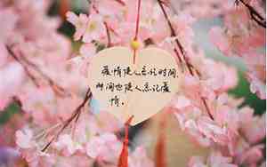 人生的爱情感慨句子图片