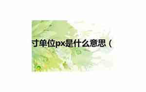 px单位是什么意思
