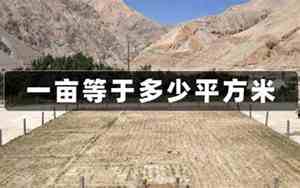 一亩地等于多少平方怎么算