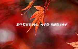 关于情感的经典句子大全