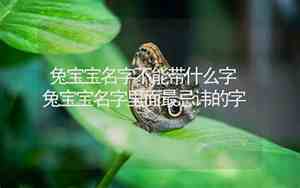 2021年宝宝名字中带锦