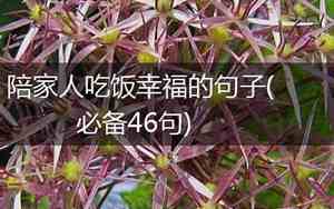 家人之间的感情句子说说