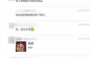 与前男友复合成功的文案
