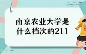 南京的211大学有哪些学校