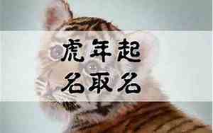 一月份虎宝宝