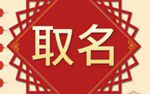 兄弟适合的名字