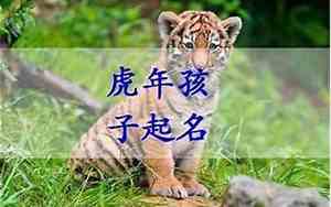 丘氏取名字