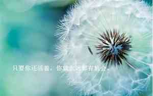 二月和七月优美的句子是什么