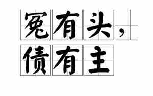冤有头蛋有主[全息]