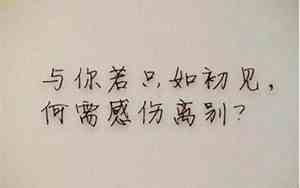 关于爱情的唯美句子文案