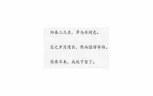 一百句优美句子短句