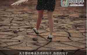 关于个人情感的唯美句子图片