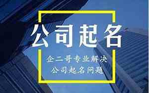 洋气的公司名称