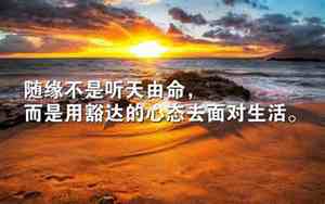 人生舍得感悟的句子图片