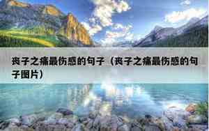 丧子之痛的句子怎么写
