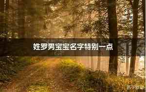 姓罗男宝宝名字