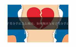怎么挽留双子男的心