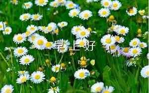 不能一错再错经典语录