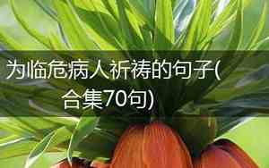 为病人祈祷祝福的句子有哪些