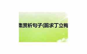 丁立梅好句子