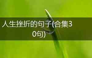 人生挫折的句子简短的,句句精辟现实