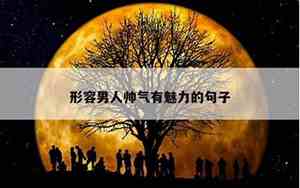 一个女人帅气的句子怎么说