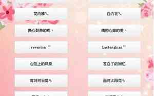 关于星辰的qq情侣网名两个字