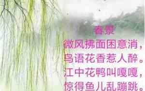 赞美春天的句子摘抄