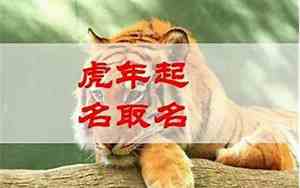 丑时男虎宝宝名字叫什么