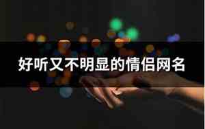 好听又不明显的情侣网名两个字