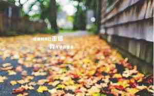 伤感好听的说说带图片大全