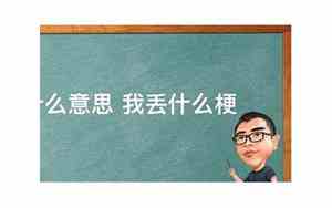 素是什么意思网络用词