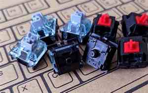 switch数字版有什么区别