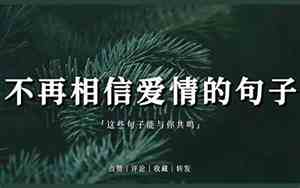 不再渴望爱情的句子简短