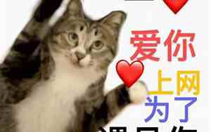 上网只为等你是什么意思