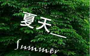 优美夏天句子摘抄简短