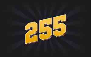 255码鞋子是40几码