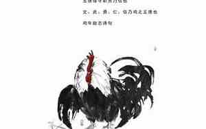 人民五亿不团圆一唱雄鸡天下白什么意思