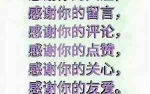 真诚的关心他人感悟