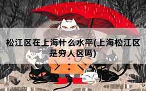 松江区富裕吗