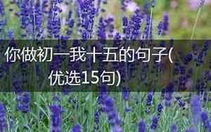 有关初一十五的祝福语